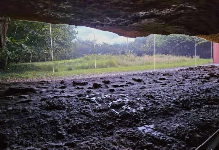 Arte Prehistórico de Altamira