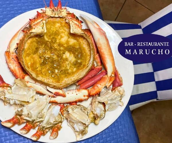 ¿Buscas comer centollo en Santander? ¡Marucho es tu lugar ideal!