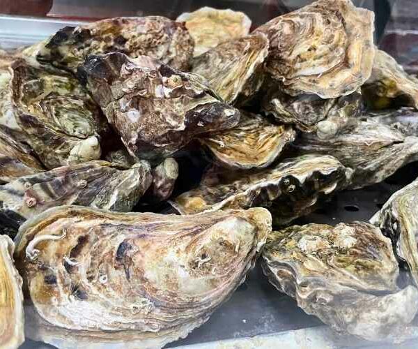 Restaurantes tradicionales en Santander: por qué Marucho es un clásico