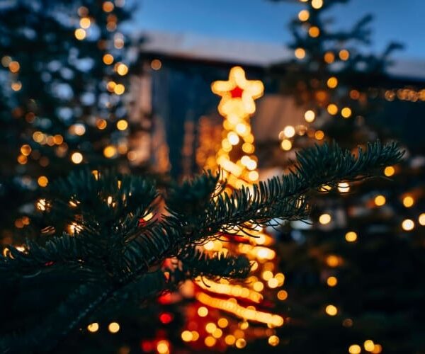 Qué hacer en Navidad en Santander: planes para disfrutar en familia, en pareja o con amigos