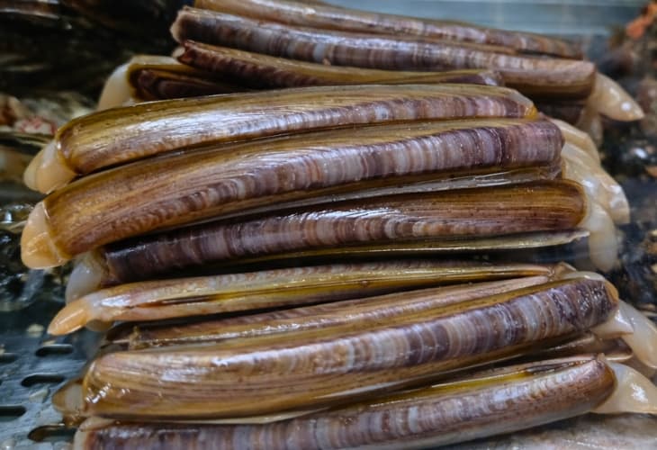 Dónde comer buen marisco en Santander restaurante Marucho