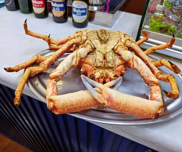 Dónde comer buen marisco en Santander: descubre el restaurante Marucho