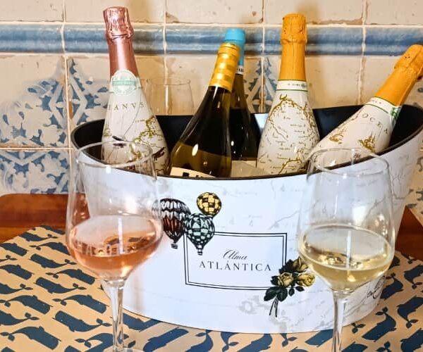 Descubre la bodega de Taberna Cachalote: vinos para saborear el mar en pleno centro de Santander