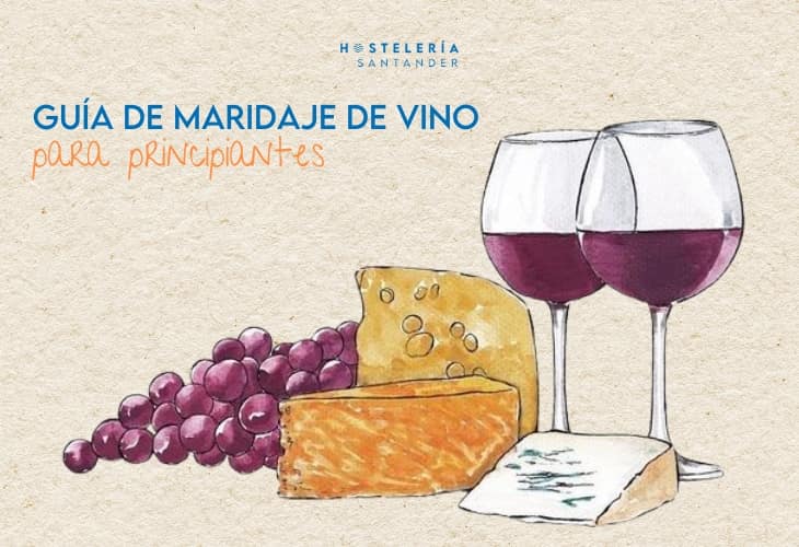 Guía de maridaje para principiantes: cómo combinar el vino con cada plato
