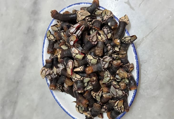 percebes marucho