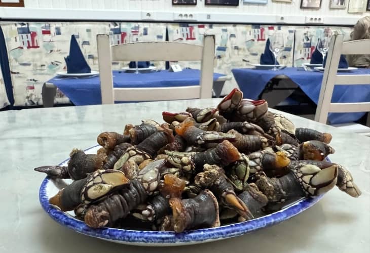 percebes marucho