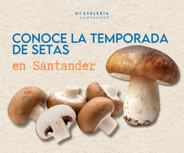 Conoce la temporada de Setas en Santander
