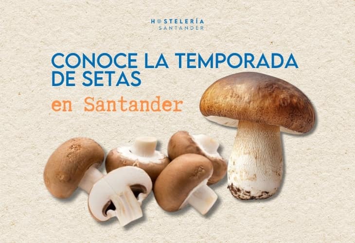 Conoce la temporada de Setas en Santander