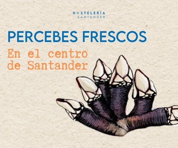 Disfruta de los mejores Percebes en Marucho